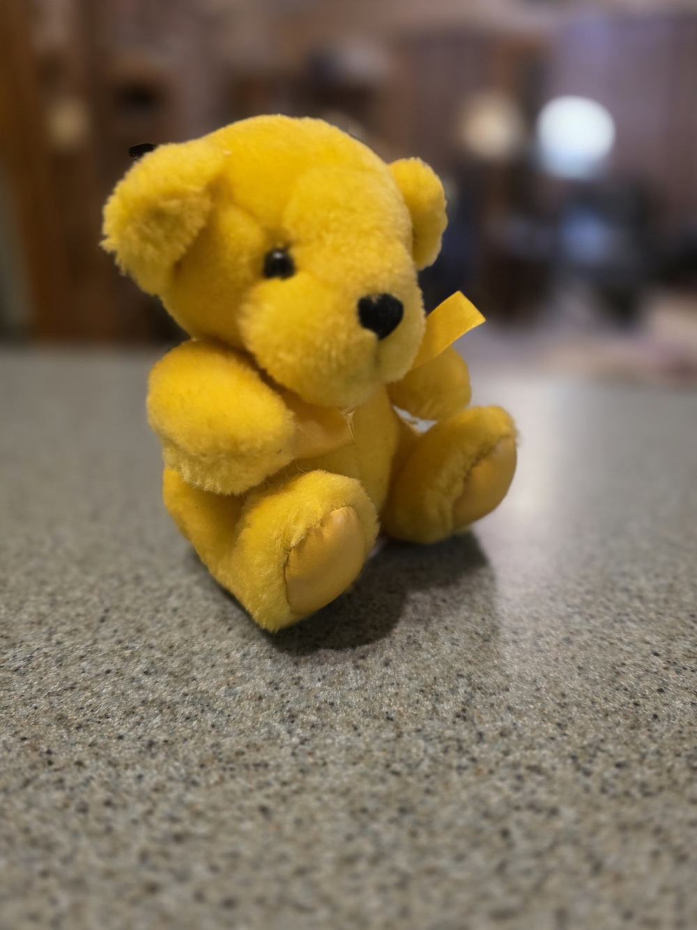 First & Main Rainbow Bear